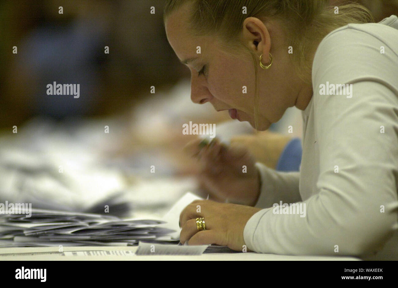 Die stimmzettel sind an der Tweeddale, Ettrick und Lauderdale in Galashiels gezählt auf 7-8/6/01. Stockfoto