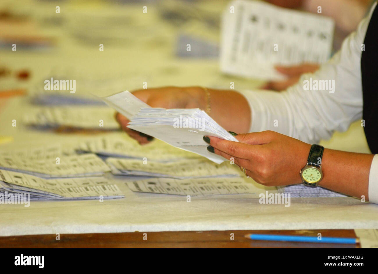 Die stimmzettel sind an der Tweeddale, Ettrick und Lauderdale in Galashiels gezählt auf 7-8/6/01. Stockfoto