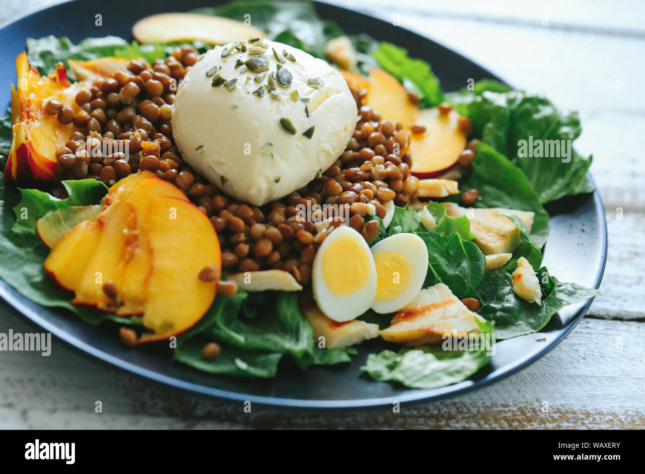 Vegetarisches Essen. Mozzarella Salat auf einen Teller Stockfoto