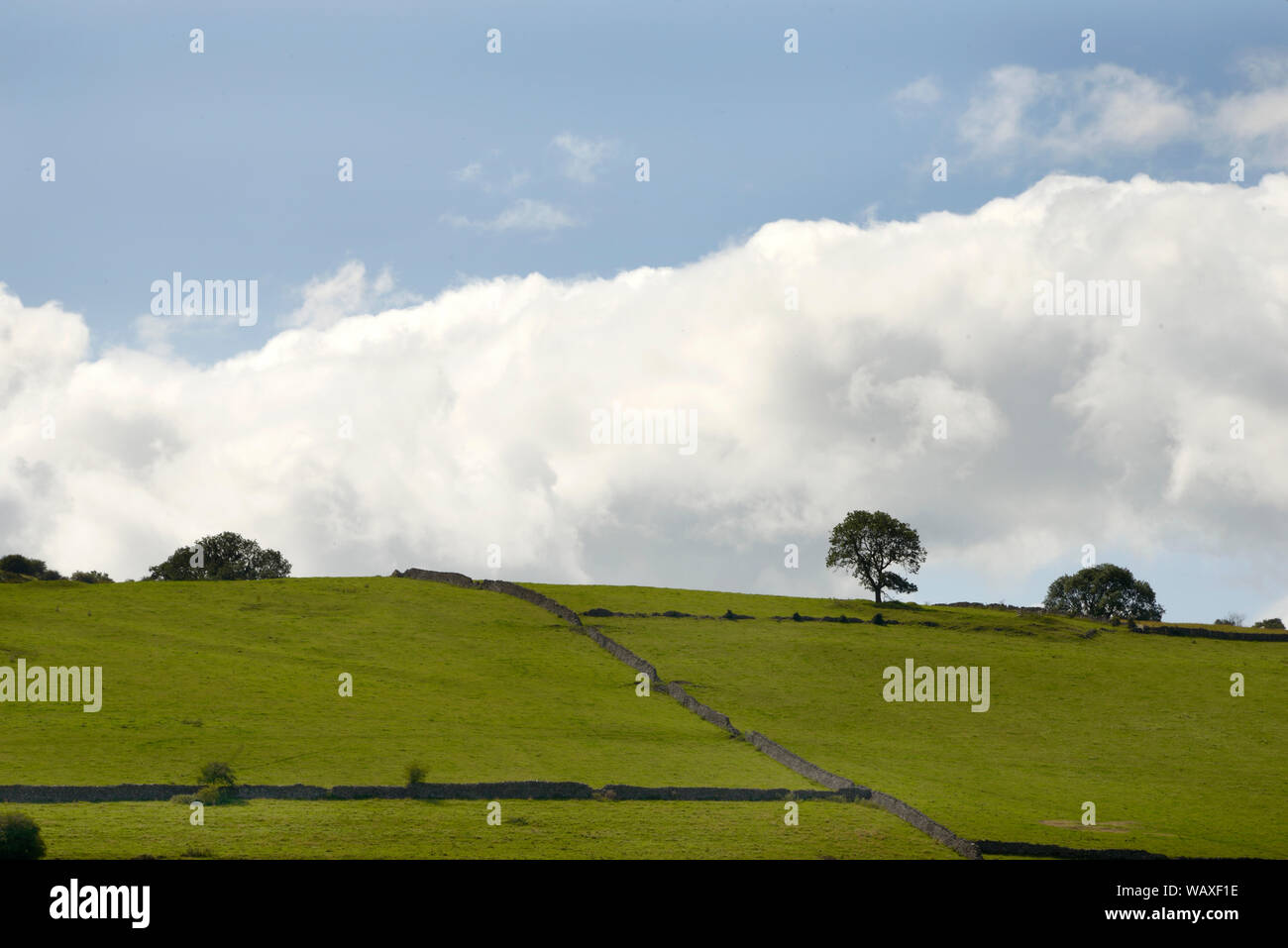 Felder in der Nähe von Snitterton, Matlock, Derbyshire, mit Trockenmauern. Stockfoto