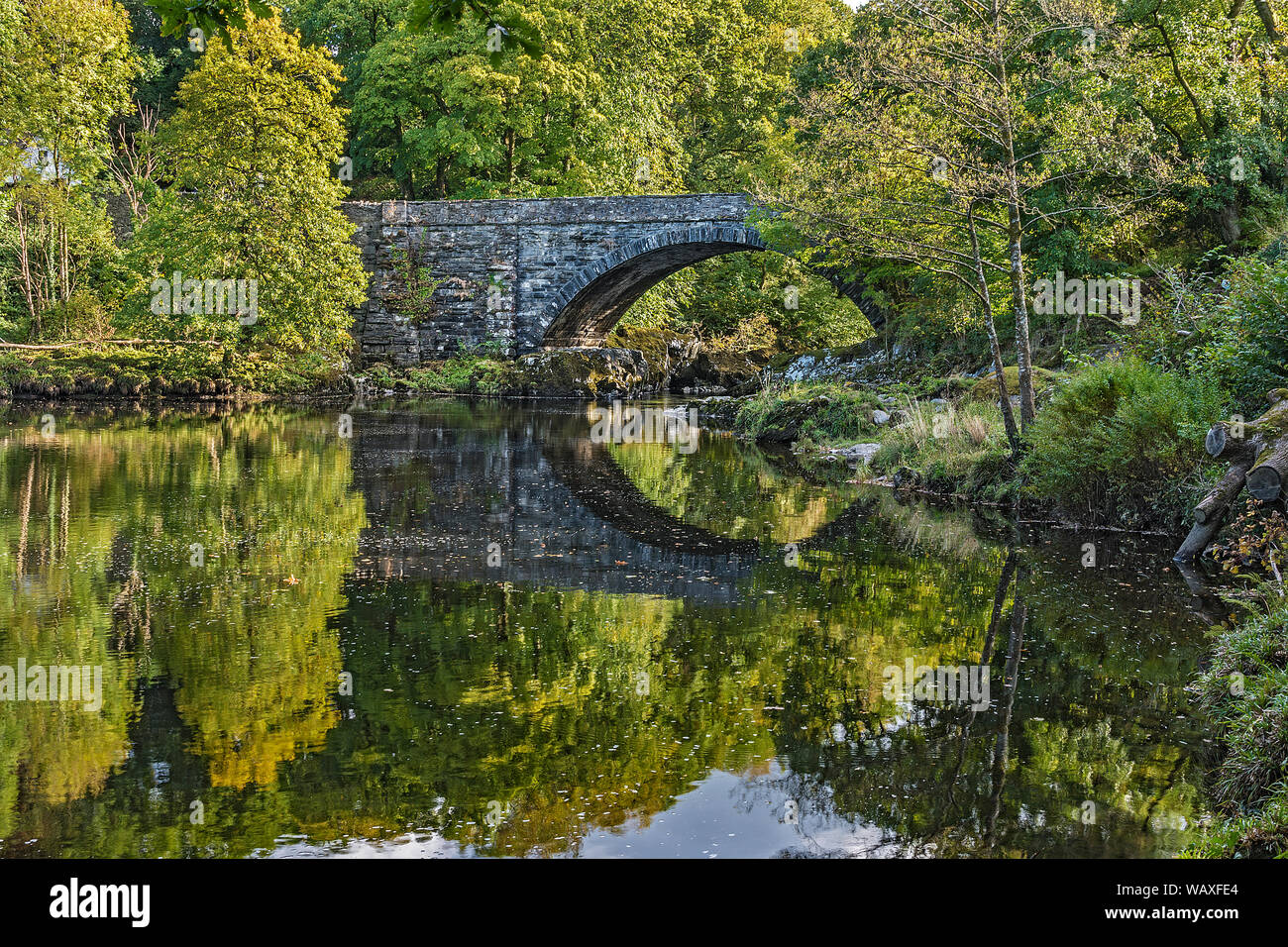 Biber Brücke im Herbst über Afon (Fluss) Conwy in der Nähe von Betws-y-Coed Snowdonia National Park North Wales UK September 2018 Stockfoto