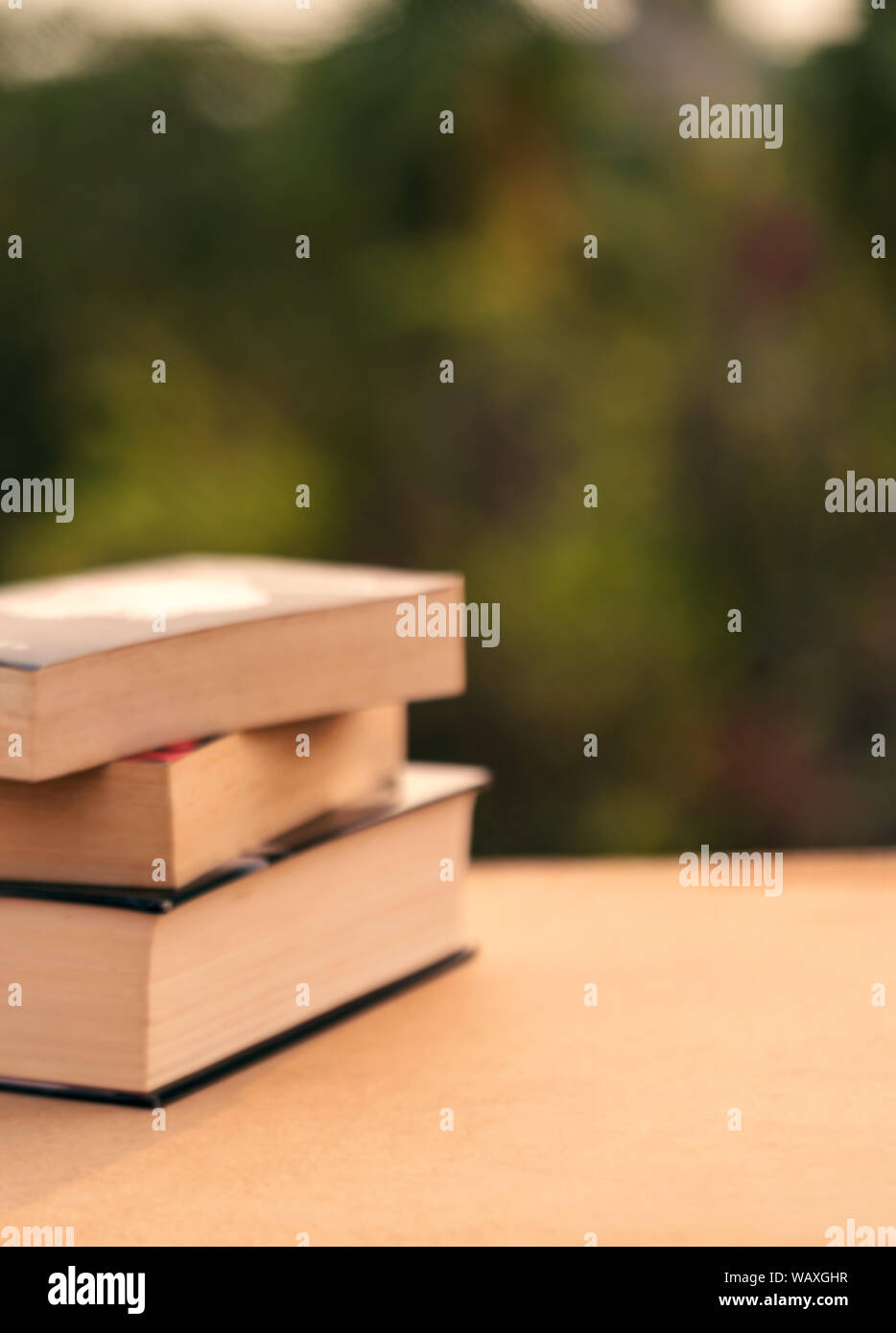 Stapel der Bücher auf einen hölzernen Tisch outdoor Park. Unscharfer Hintergrund Konzept für Teachers' Day mit kopieren. Stockfoto