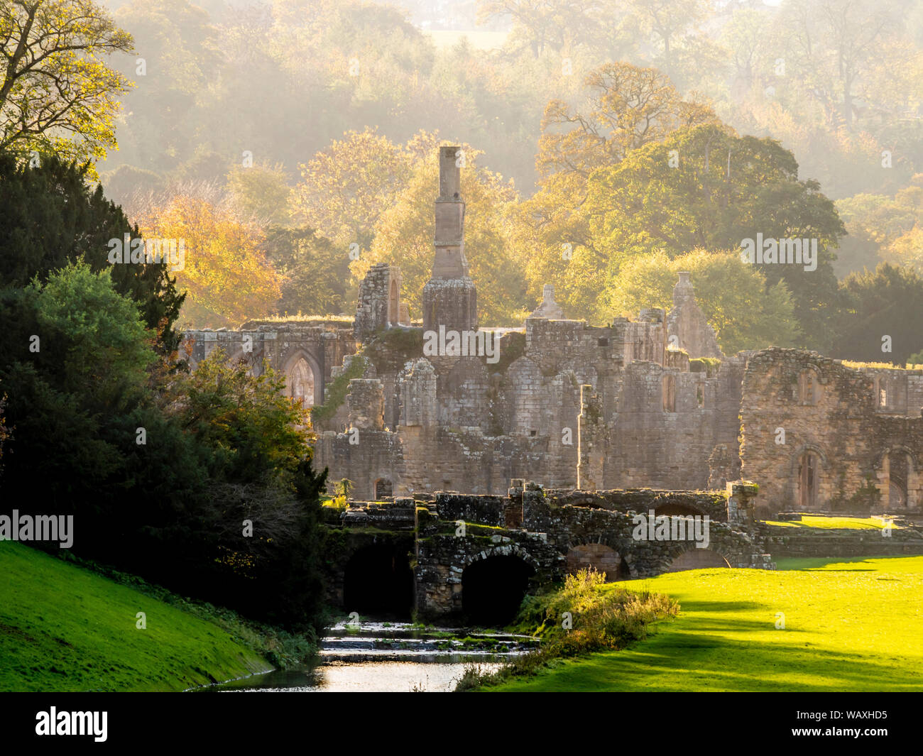Ruinen von Fountains Abbey bei Studley Royal Water Garden, North Yorkshire, UK. Stockfoto