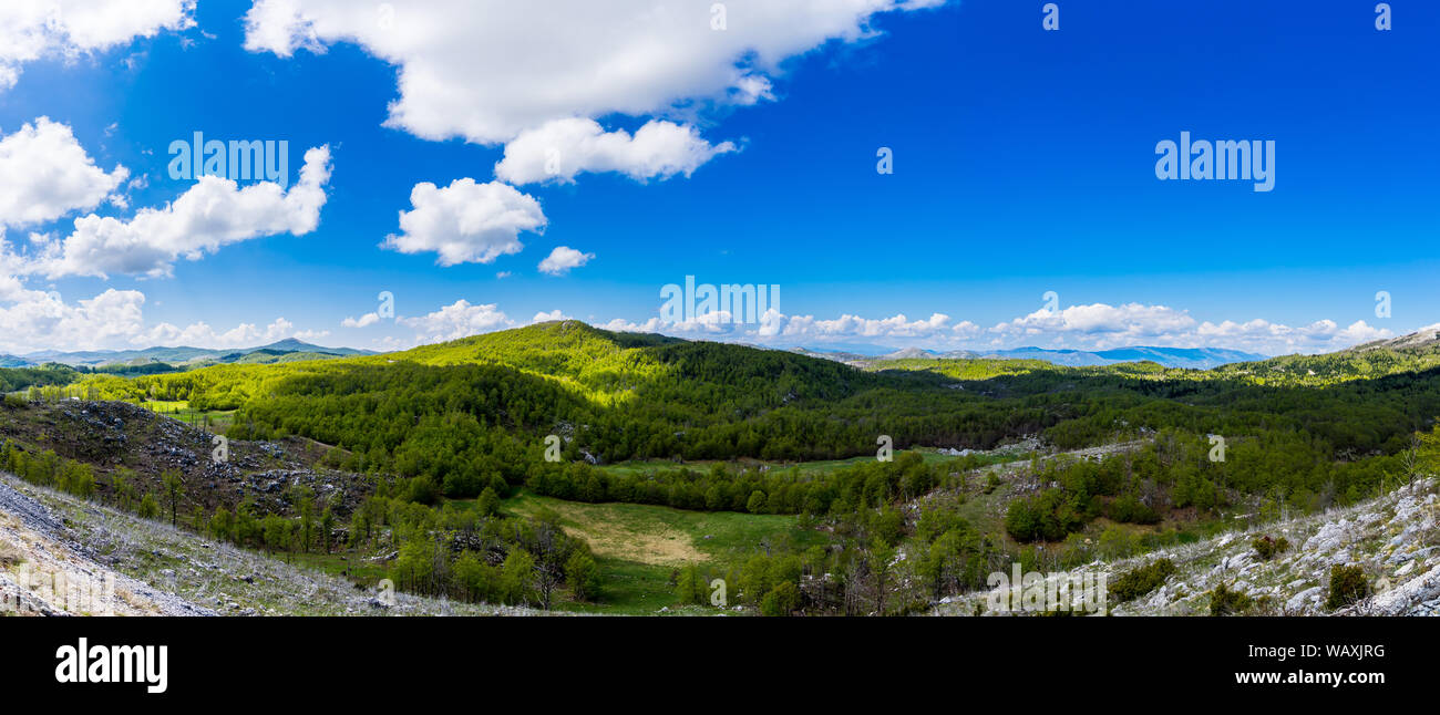 Montenegro, XXL Panorama der grünen Natur Landschaft mit Bäumen und Wald, die Landschaft in der Nähe von savnik mit blauem Himmel im Frühling Stockfoto