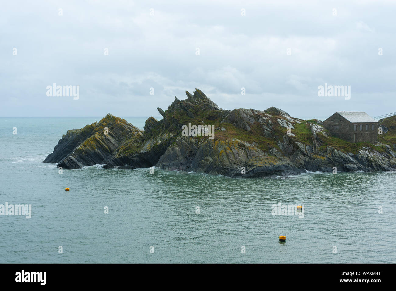 Polperro ist ein großes Dorf, Gemeinde und Fischerhafen im Polperro Heritage Küste im Süden von Cornwall, England. Stockfoto