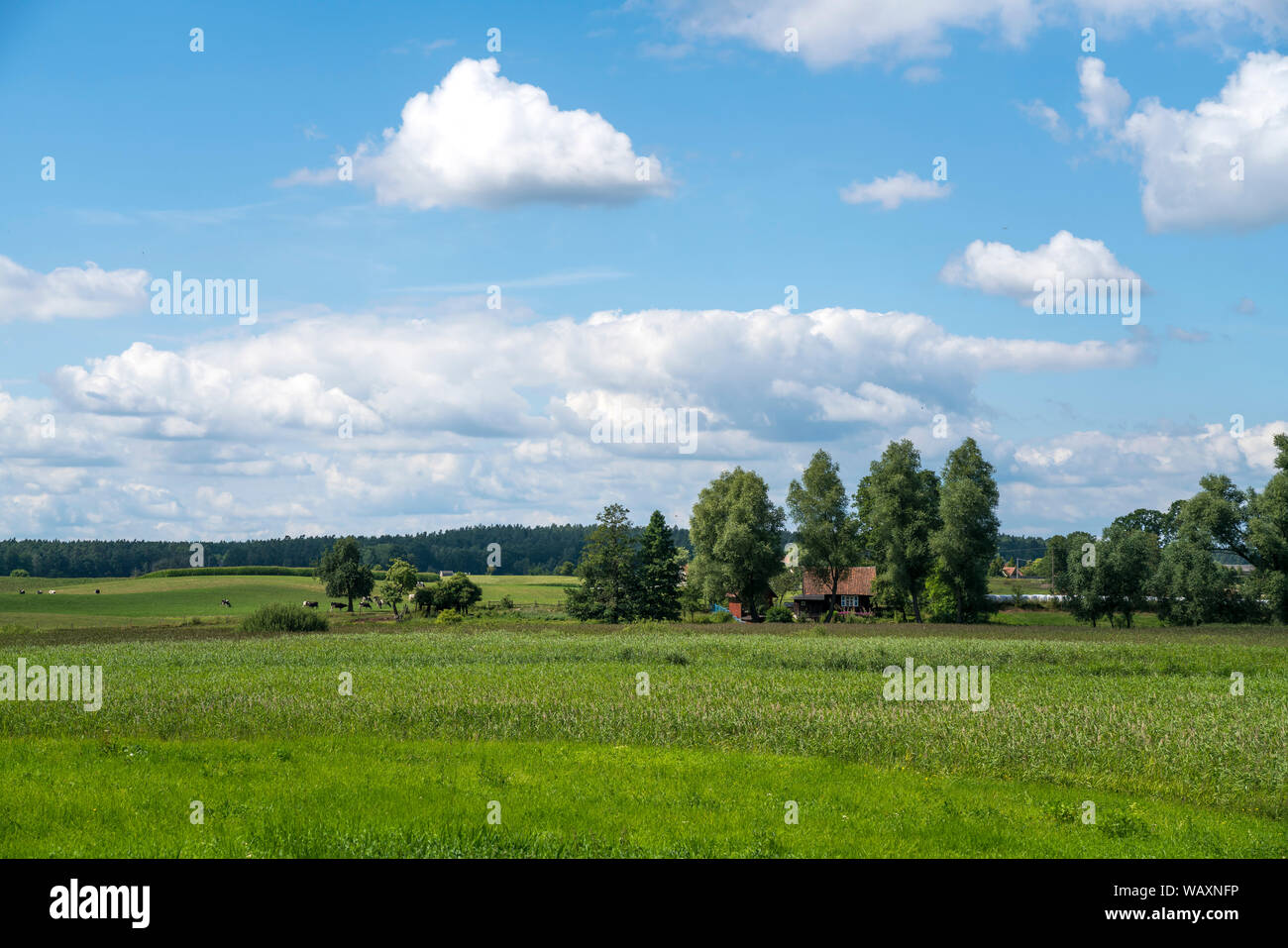 Landschaft bei Wojnowo/Eckertsdorf, Ruciane-Nida, Ermland-Masuren, Polen, Europa | Landschaft in der Nähe von Wojnowo, Ruciane-Nida, Ermland-Masuren, Polen, Stockfoto