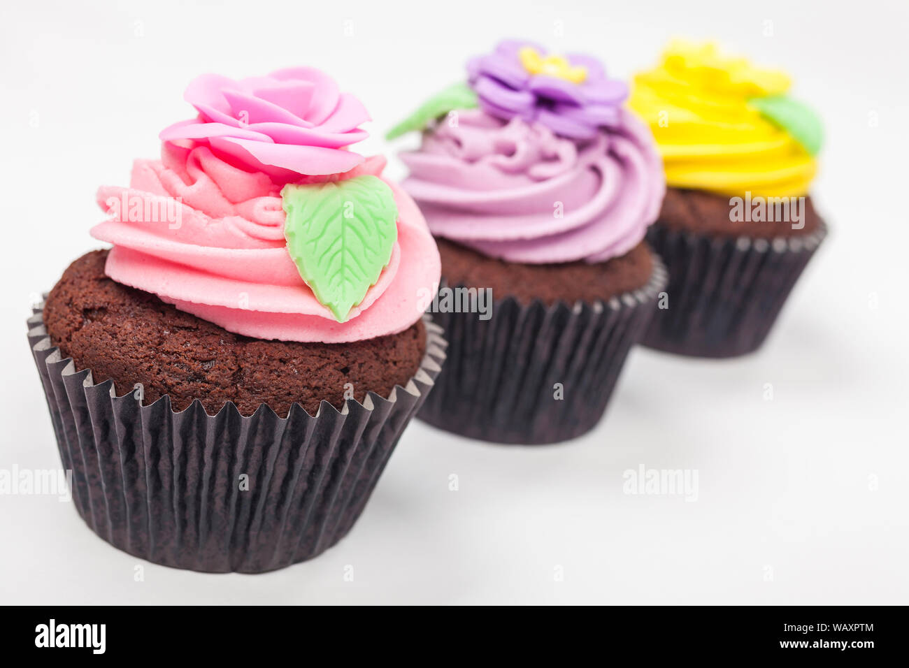 Drei Becher Schokolade Kuchen mit Puderzucker oder Reifbildung, Pink, Lila und Gelb mit grünen Blättern, auf weißem Hintergrund fotografiert. Stockfoto