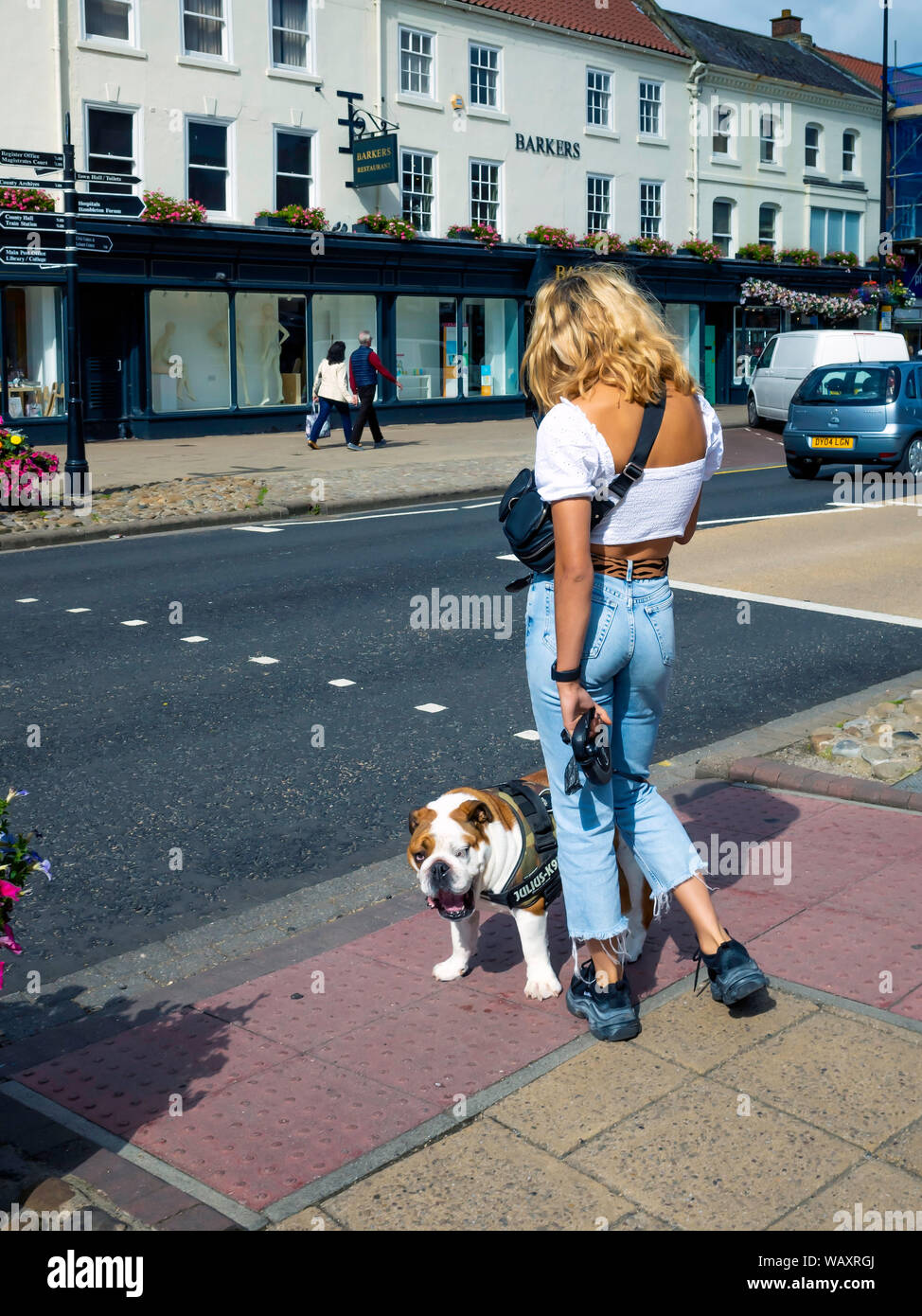 Ein leger gekleidet attraktive blonde Frau mit einem Bulldog warten die Straße in einem Yorkshire Markt Stadt zu überqueren Stockfoto