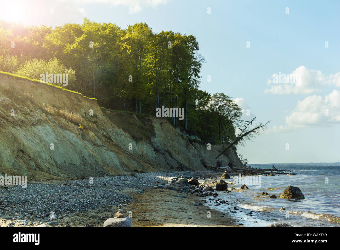 Steine und grünen Bäume Wald auf der Steilküste an der Ostsee, Lübeck hermannshöhe Stockfoto