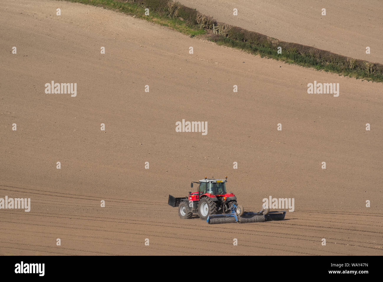 Ein Traktor Eggen ein Feld in Oswestry, Shropshire, England, Großbritannien Stockfoto