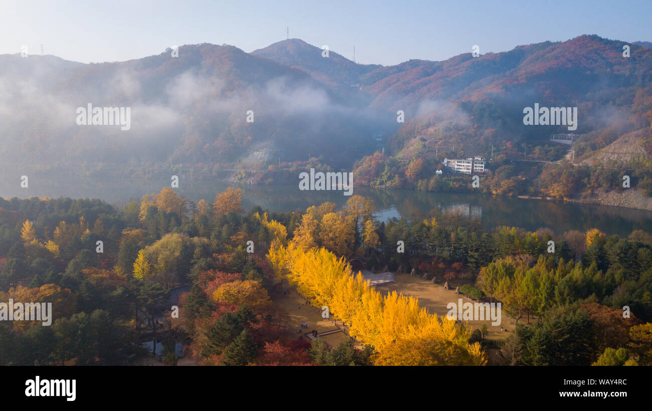 Luftaufnahme Herbst Insel Nami, Seoul Korea Stockfoto