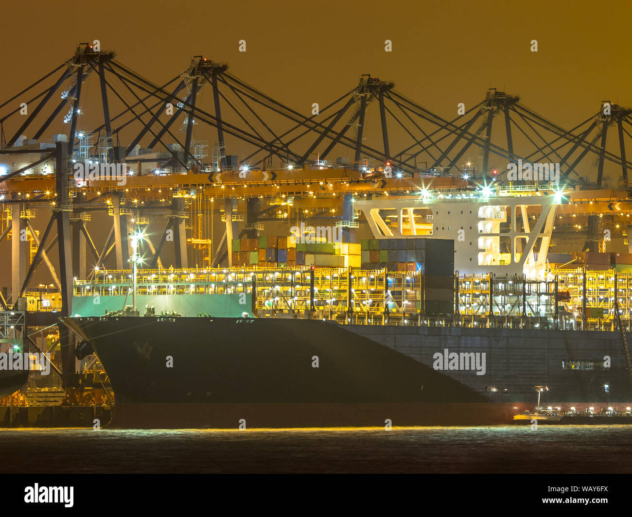 Brücke und Bug von beleuchteten Cargo Carrier Schiff in der Nacht in Rotterdam Maasvlakte Container Terminal in der Dunkelheit geladen wird. Die Niederlande Stockfoto
