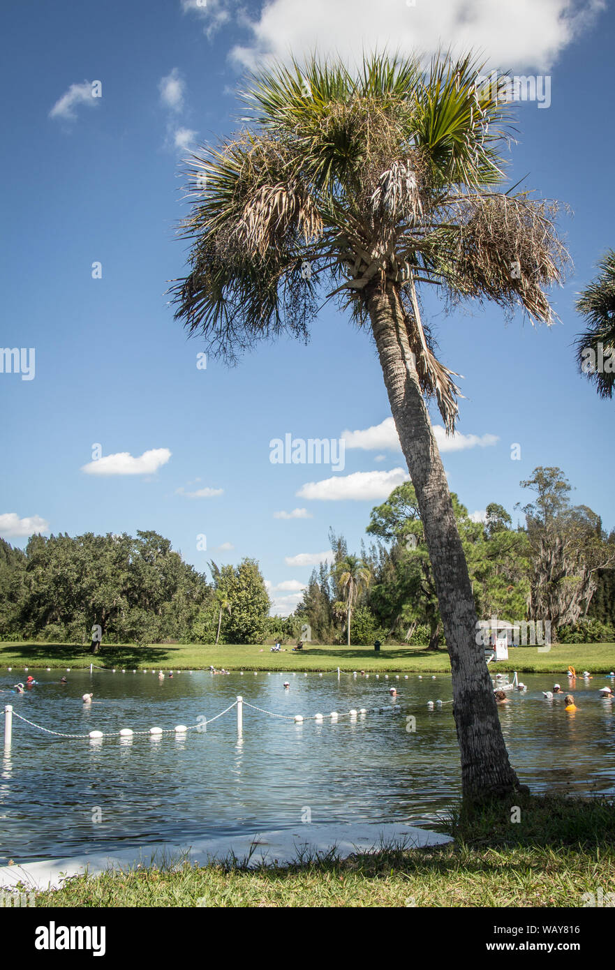 Warme Mineralquelle mit hohen Sauerstoff. Stockfoto