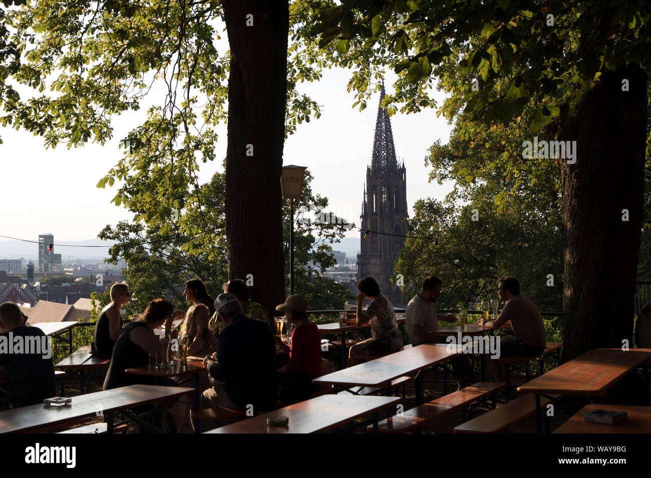 Freiburg im Breisgau, Altstadt, Kastaniengarten, auf dem Burghügel, Biergarten, mit Blick auf das Freiburger Münster, Stockfoto