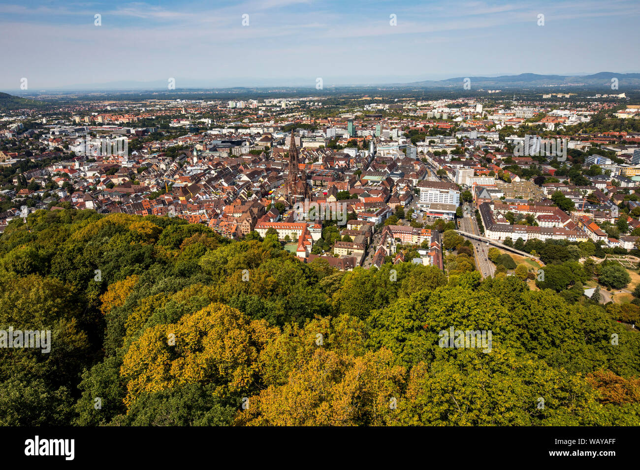 Freiburg im Breisgau, Panoramablick vom Aussichtsturm auf dem Burgberg, Hügel im Stadtzentrum, mit der Altstadt, Stockfoto