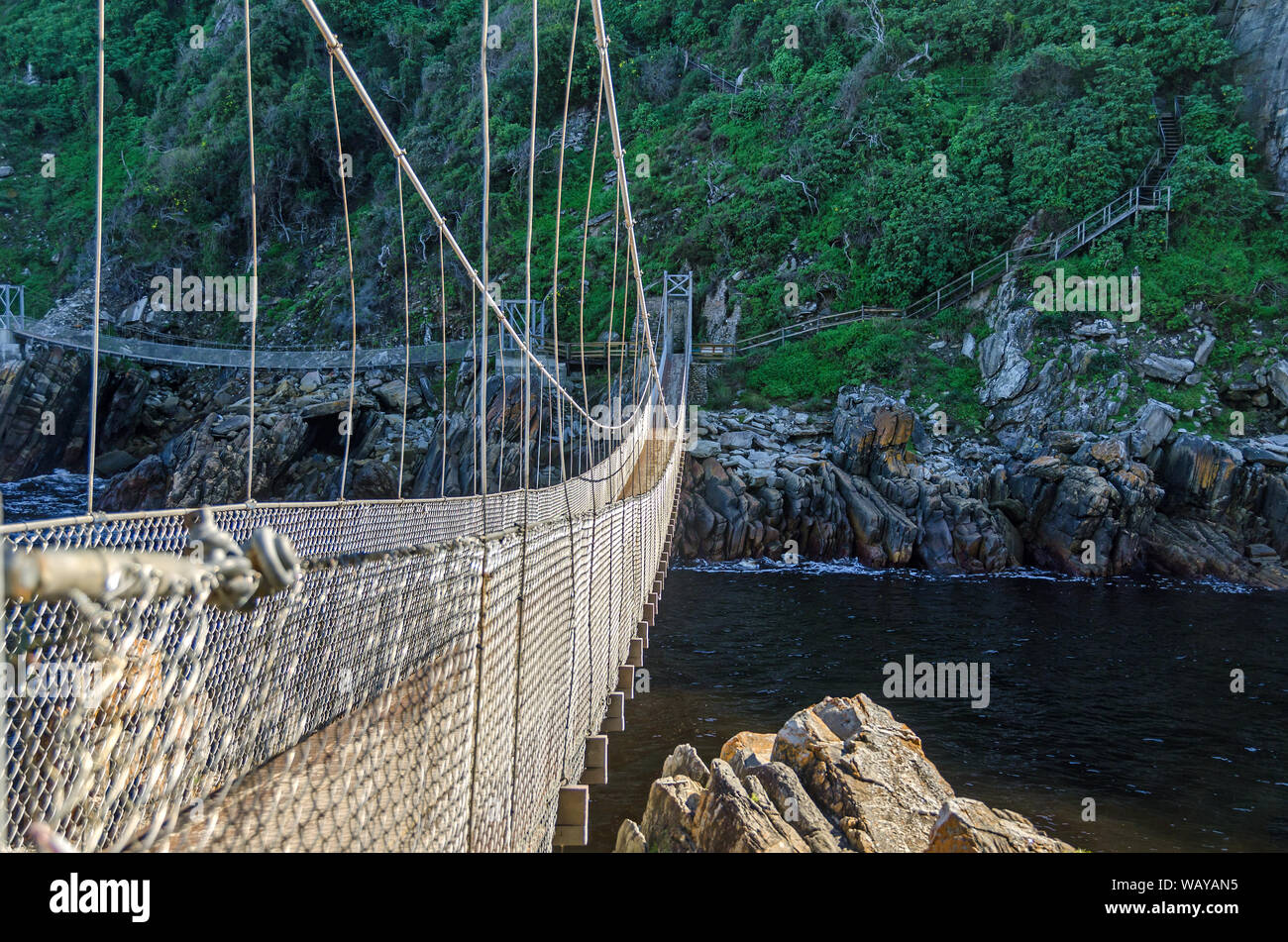 Suspension Fußgängerbrücke über die Storms River in den Tsitsikamma National Park, ein Teil von einem Wanderweg entlang der Garden Route von Südafrika Stockfoto