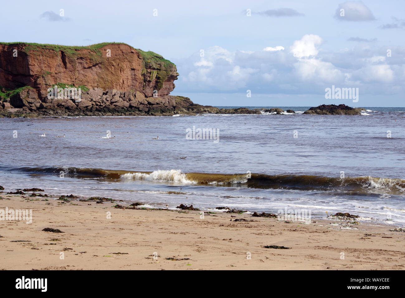 Das Meer in der Kommenden und bei Eyemouth Strand, einer kleinen Gemeinde im Berwickshire, im Bezirk Scottish Borders von Schottland. Stockfoto