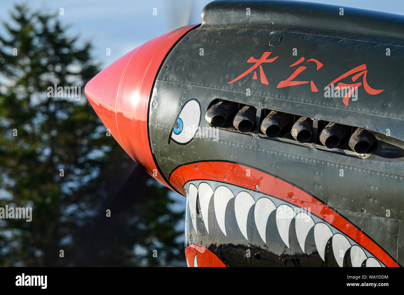 Curtiss p 40 warhawk -Fotos und -Bildmaterial in hoher Auflösung – Alamy