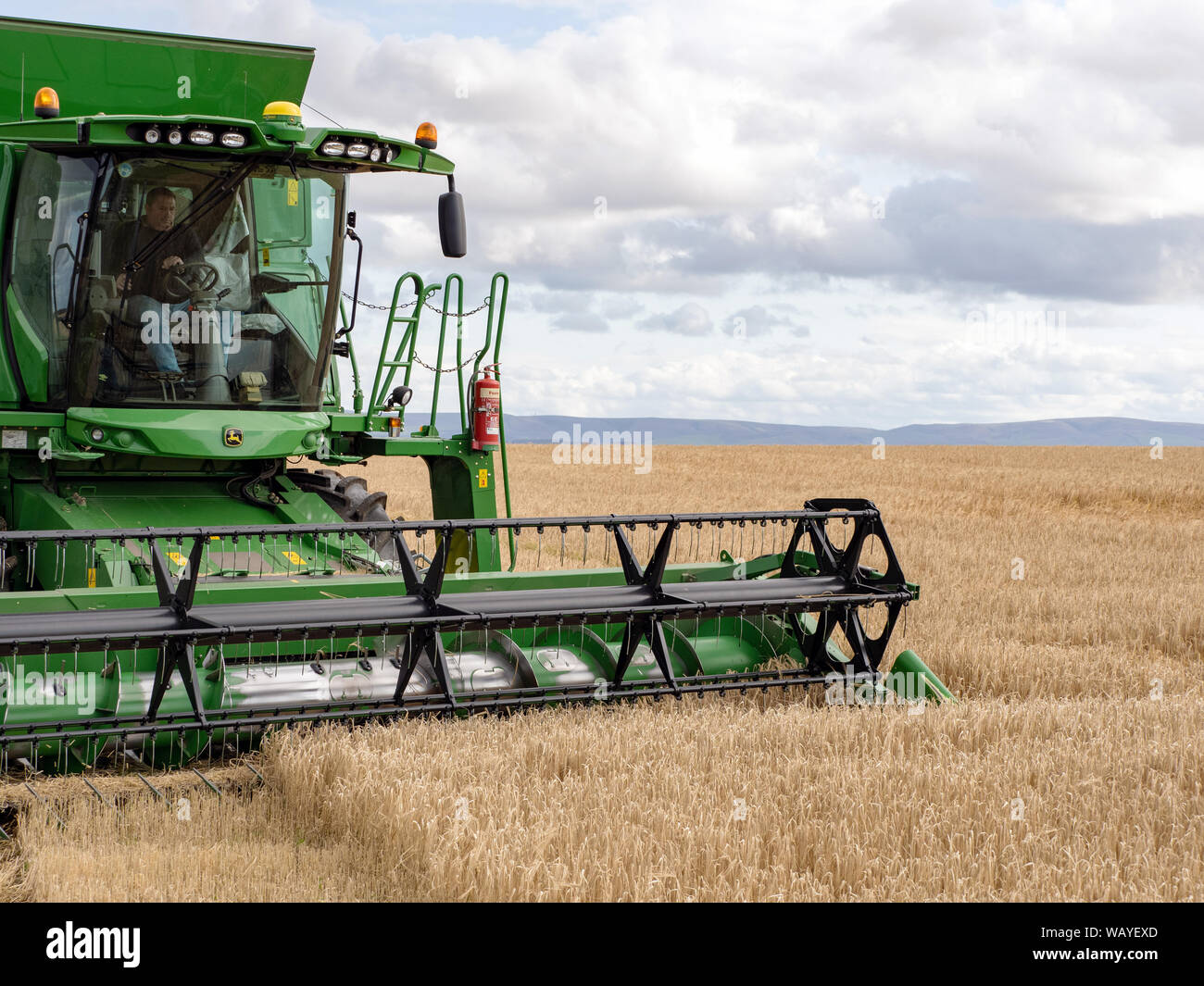 Ein Mähdrescher bei der Arbeit auf den Feldern von East Lothian, Schottland, Großbritannien. Stockfoto