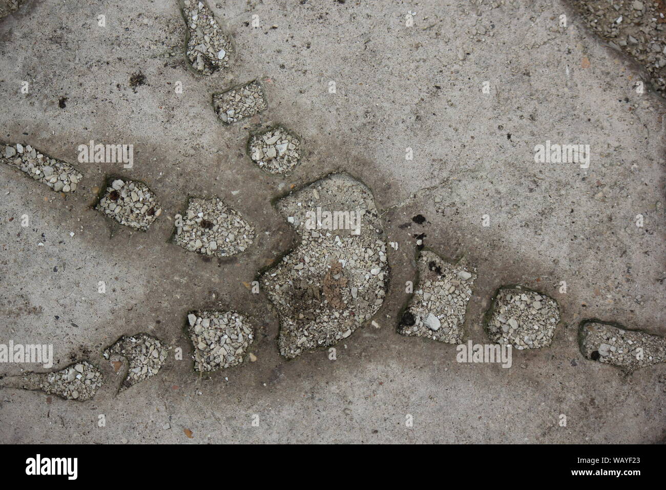 Dinosaurier Vogel kralle Footprint im Bristol Renaissance Faire, Feire, Feyre, faire und Fayre, Mittelaltermarkt, mercats Medievals. Stockfoto