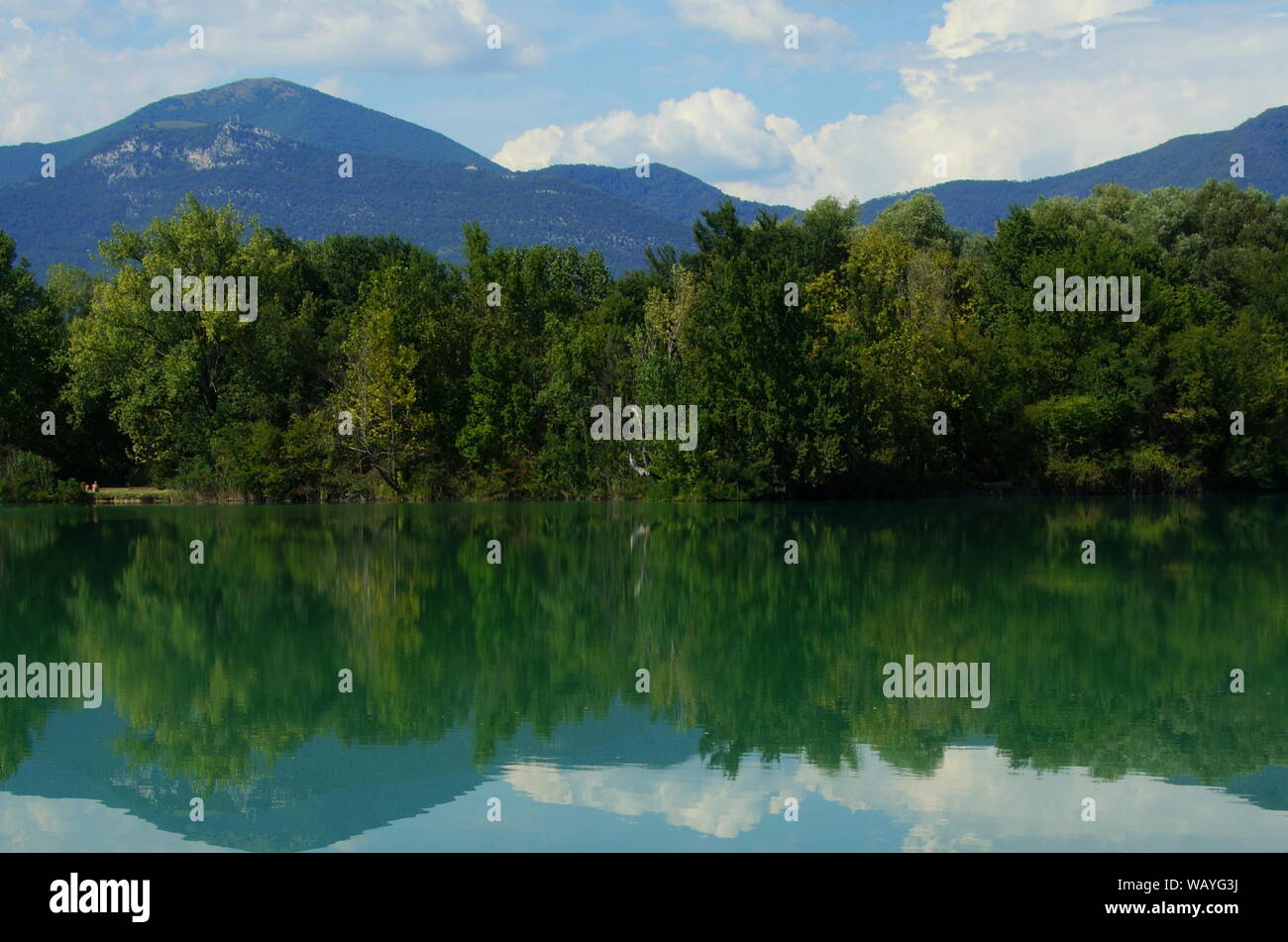 Naturpark Sebino, Italienisch Feuchtgebiet. Stockfoto