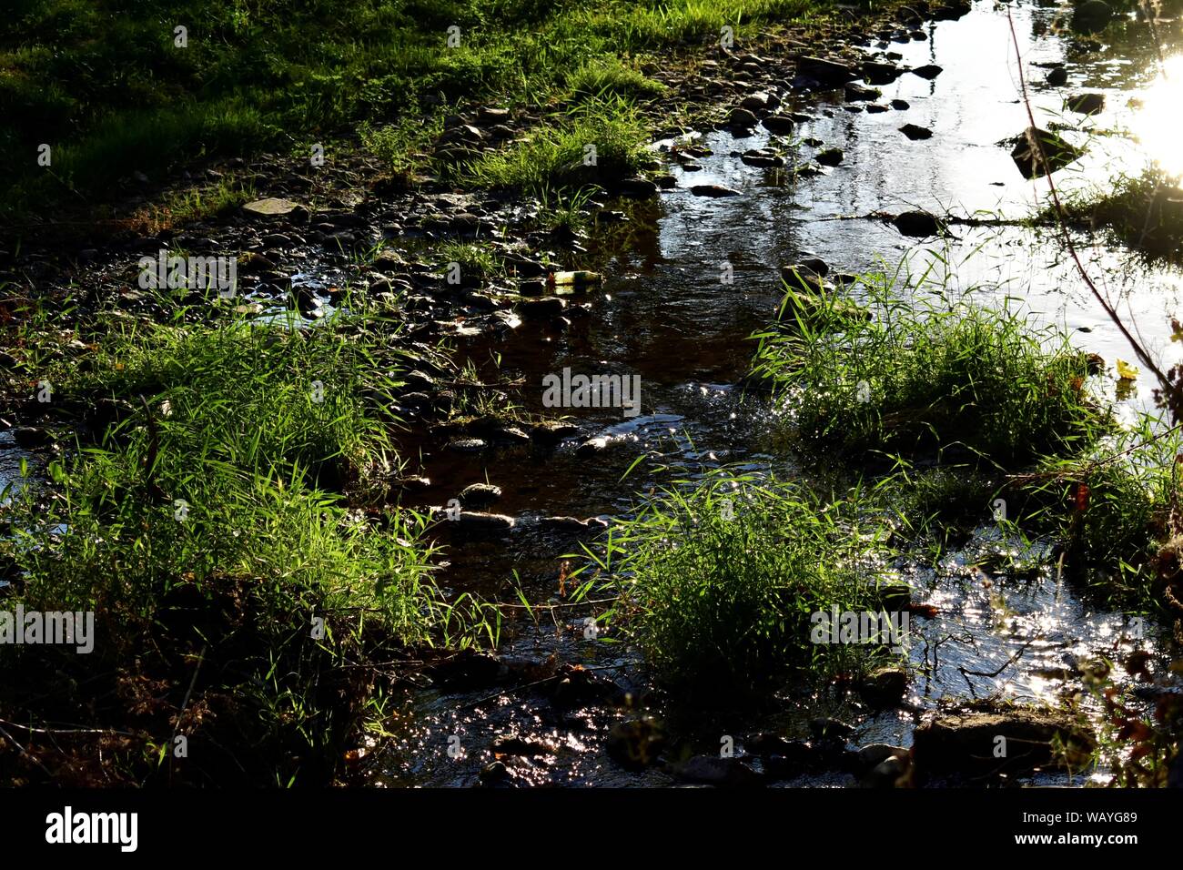 Teilstück eines Flusses in Griechenland, Florina, in der Nähe der Wurzeln der Berg. Stockfoto