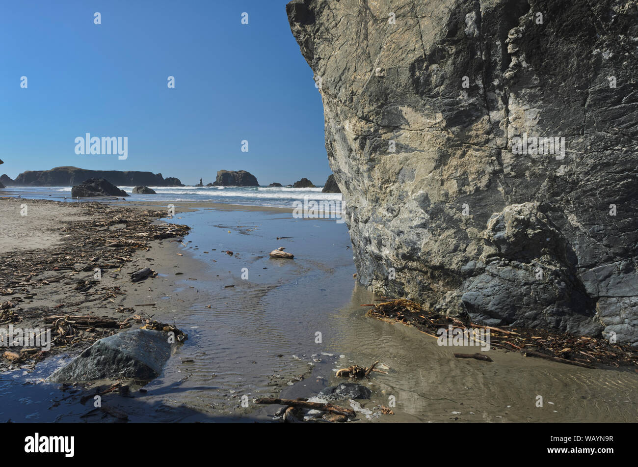 Sea Stacks ergeben sich aus dem Sand der Bandon Strand als eine Flut auf Sie wäscht, Bandon, Oregon. Bei Coquille, Oregon Inseln NWR Stockfoto