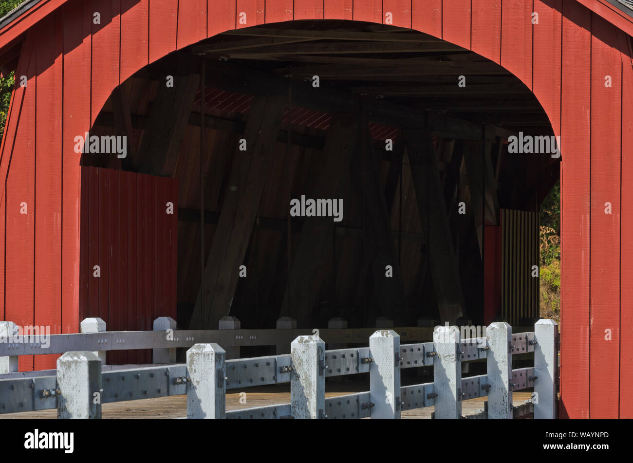 Fisher Schule Covered Bridge, eine rote Brücke 1917 erbaut, Kreuze fünf Flüsse in der Oregon Coast Range östlich von Florenz. Stockfoto