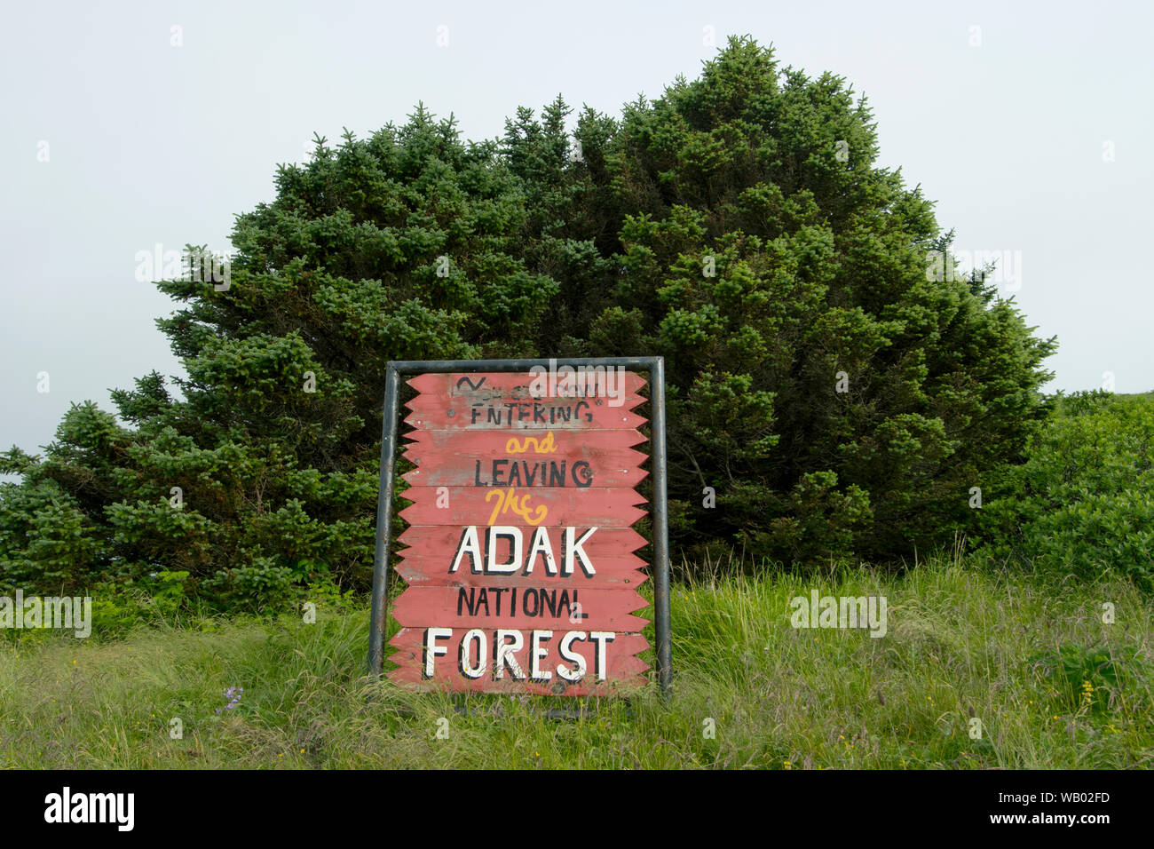 "Er National Forest", kleine Wäldchen auf baumlose Er Insel im Zweiten Weltkrieg gepflanzt, er Insel, Aleuten, Alaska Stockfoto