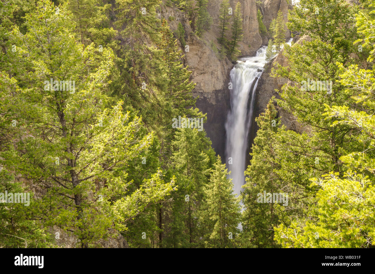 Turm fallen Unscharfe Wasserfälle in der Mitte der grünen Bäume und Berge im Yellowstone Stockfoto