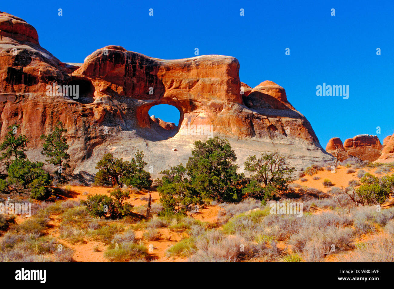 Felsformation durch Erosion Bögen Nat geprägt. Park, Utah, USA Stockfoto