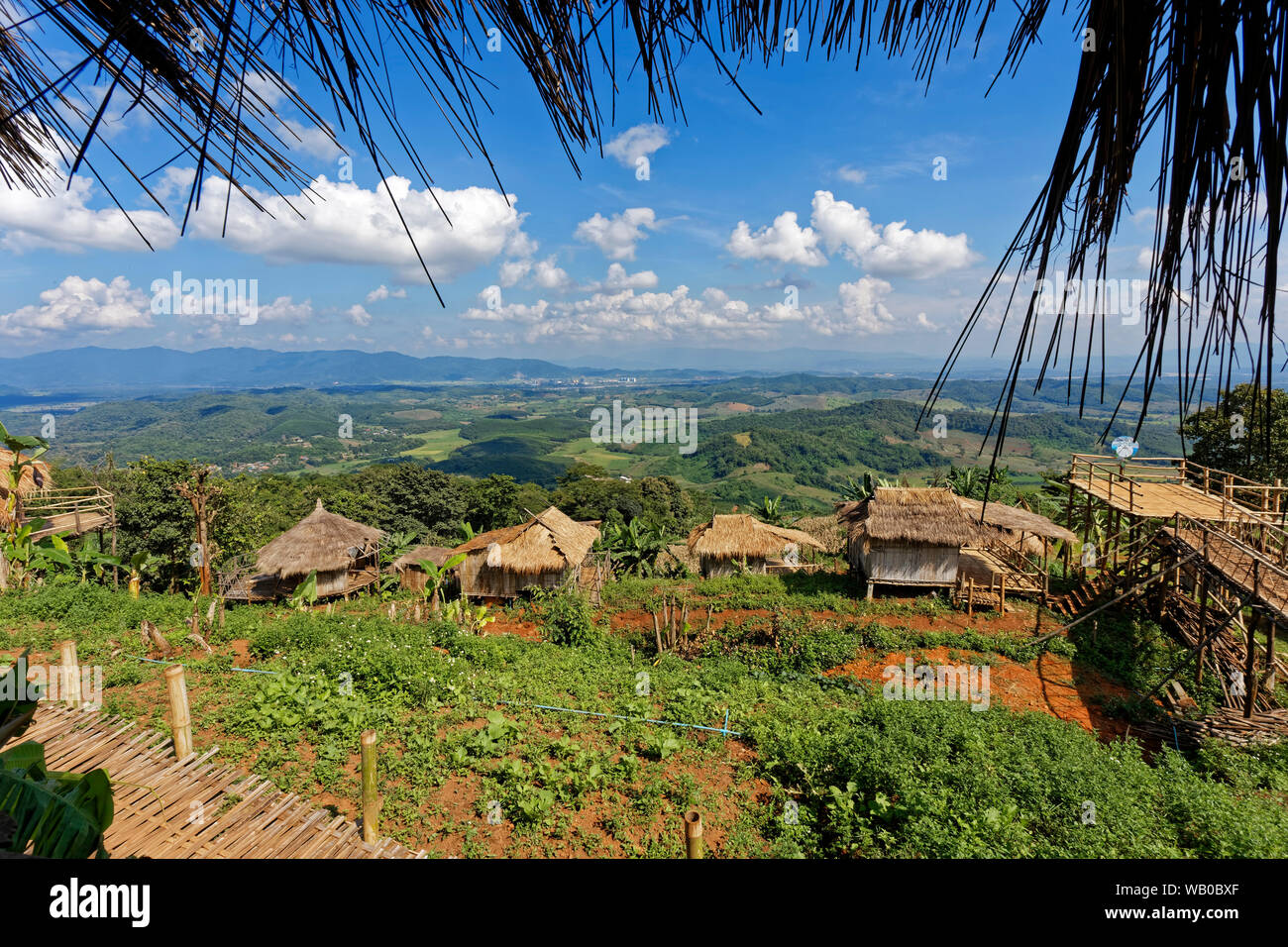 Doi Sa Ngo (Sa NRO-Berg), Bergvolk der Akha Village, Chiang Saen, Chiang Rai, Thailand Stockfoto