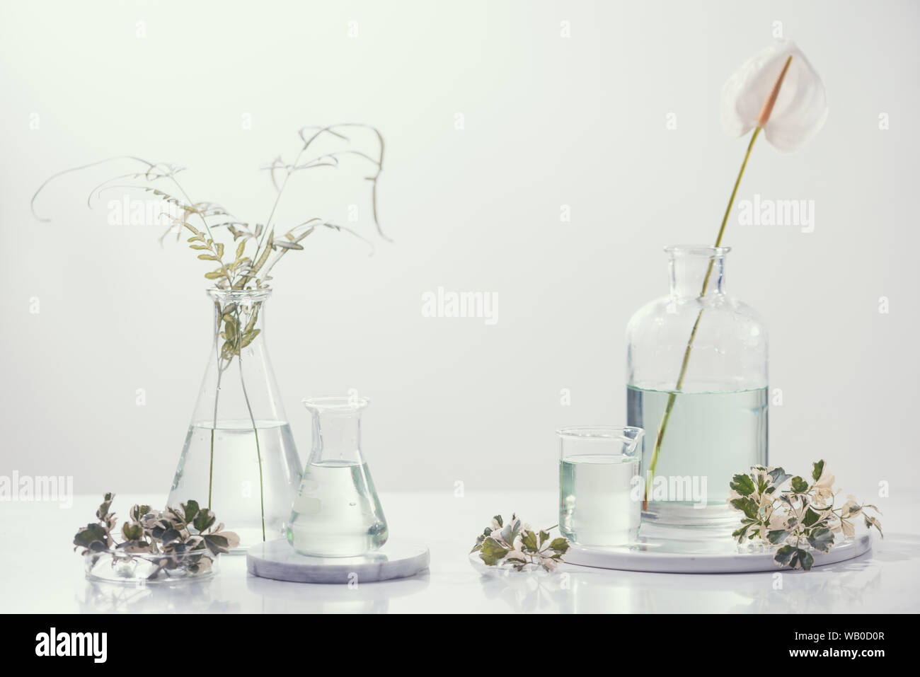Parfumöle Konzept. Laborglas mit Infundiert florale Wasser am Tisch Stockfoto