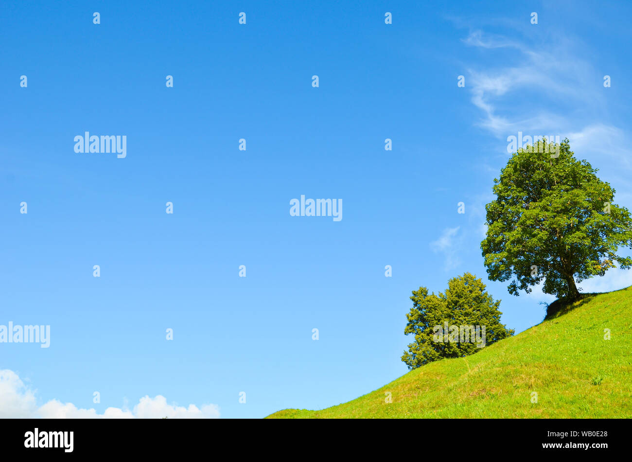 Grüne Bäume auf einem steilen Hügel, blauer Himmel mit Wolken hinter dem Horizont. Kopieren Sie Platz für Text. Der leere Raum. Motivation, persönliche Entwicklung Konzept Stockfoto