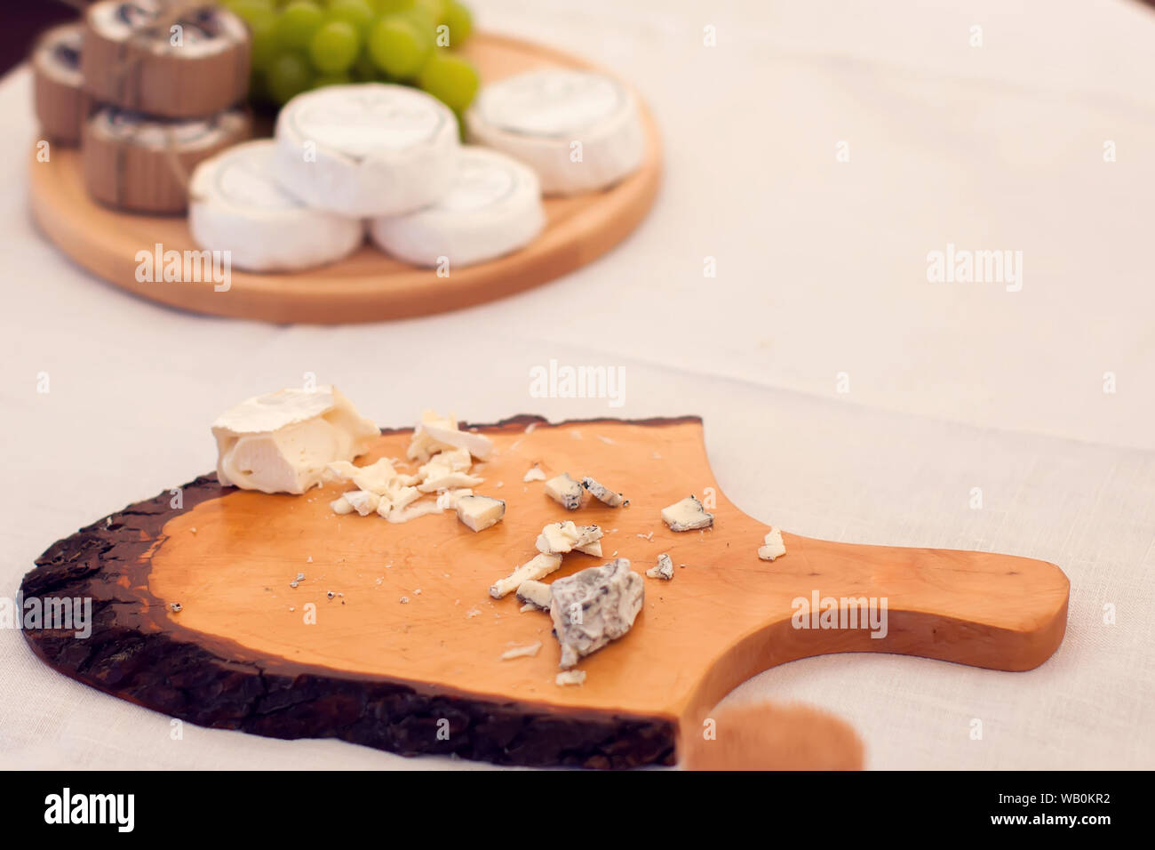 Verschiedene Arten von Käse ist Käse Festival. Organische und Farm food Konzept Stockfoto