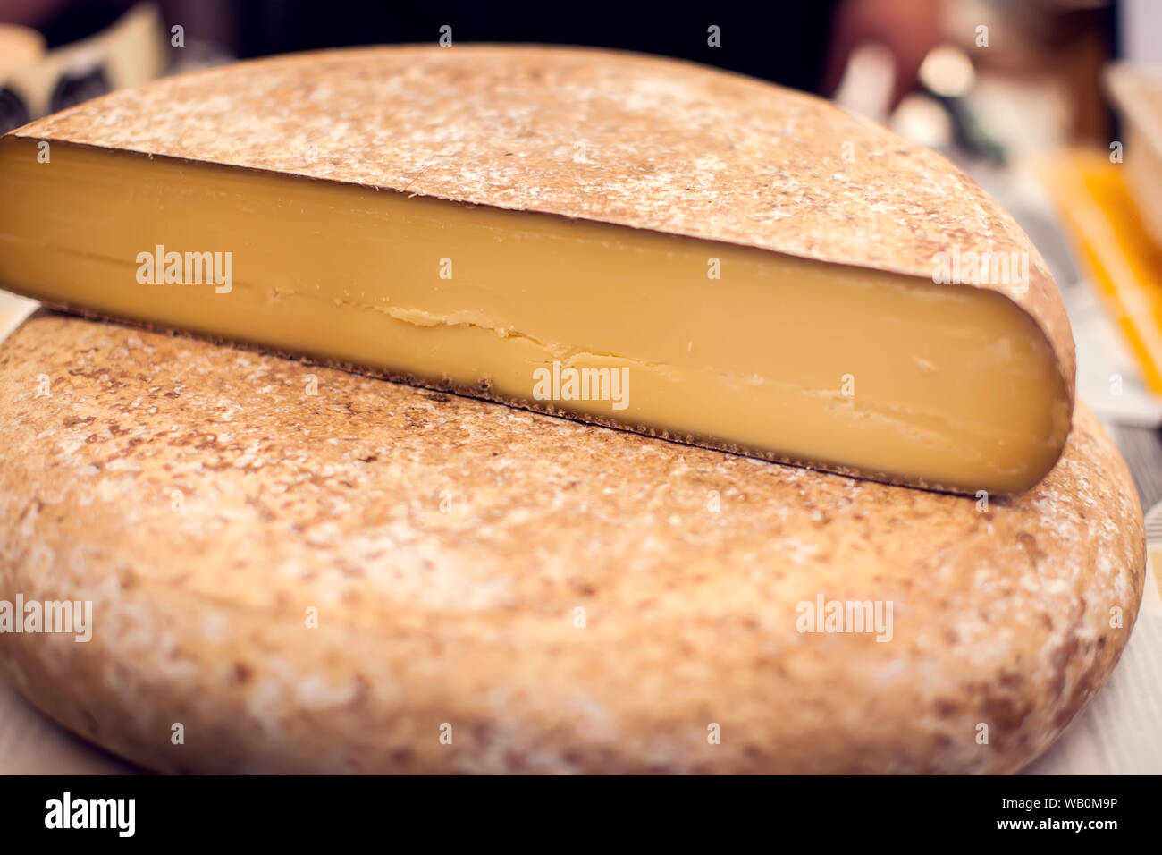 Verschiedene Arten von Käse ist Käse Festival. Organische und Farm food Konzept Stockfoto