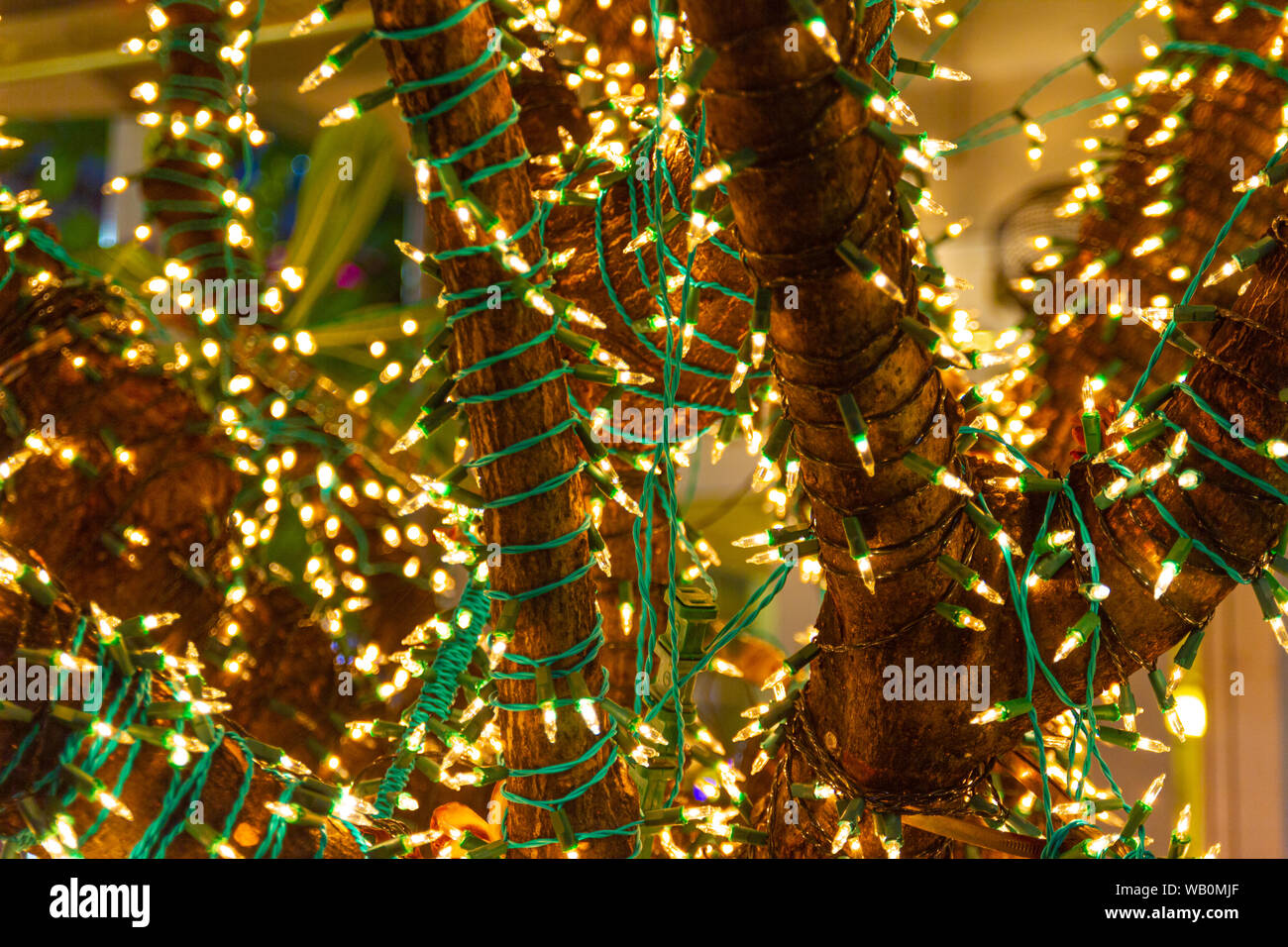 Dekorative Stringleuchten im Freien hängen am Baum im Garten in der Nacht -  dekorative weihnachtsbeleuchtung - frohes neues Jahr Stockfotografie - Alamy