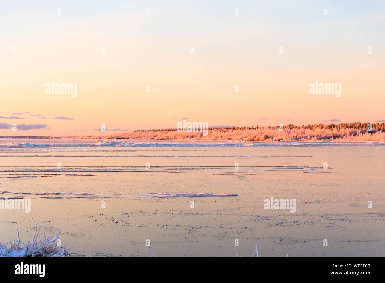 Winter See ist gefroren und frostigen Strand Landschaft, Insel Hailuoto, Bottnischen Meerbusen,Österbotten, Finnland Stockfoto