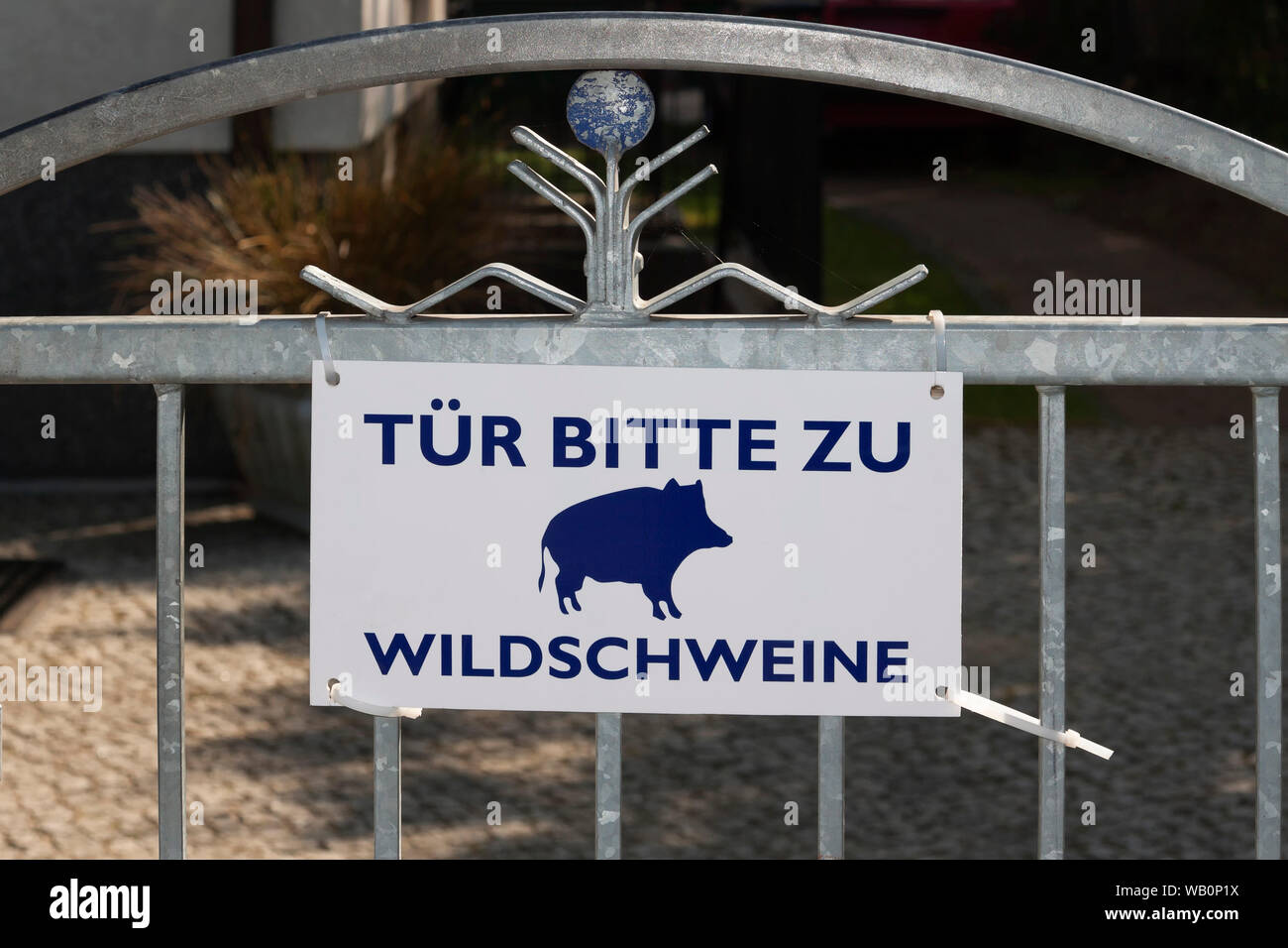 Bitte schliessen Sie die Tür, Wildschweine, unterzeichnen in Berlin Stockfoto