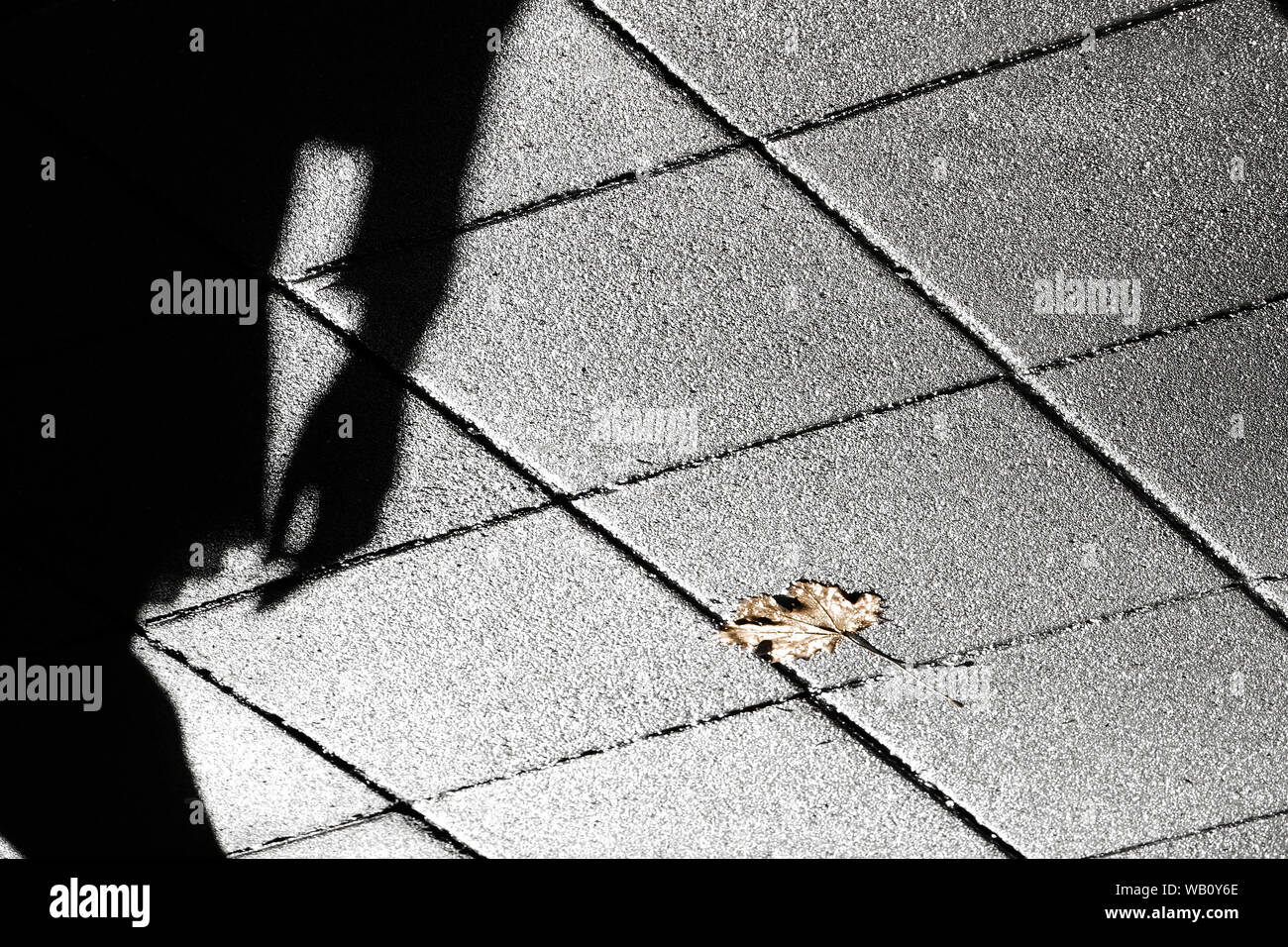 Abstrakte blurry Golden gefallen Blatt auf die Straße und eine Person Schatten in Schwarz und Weiß Stockfoto