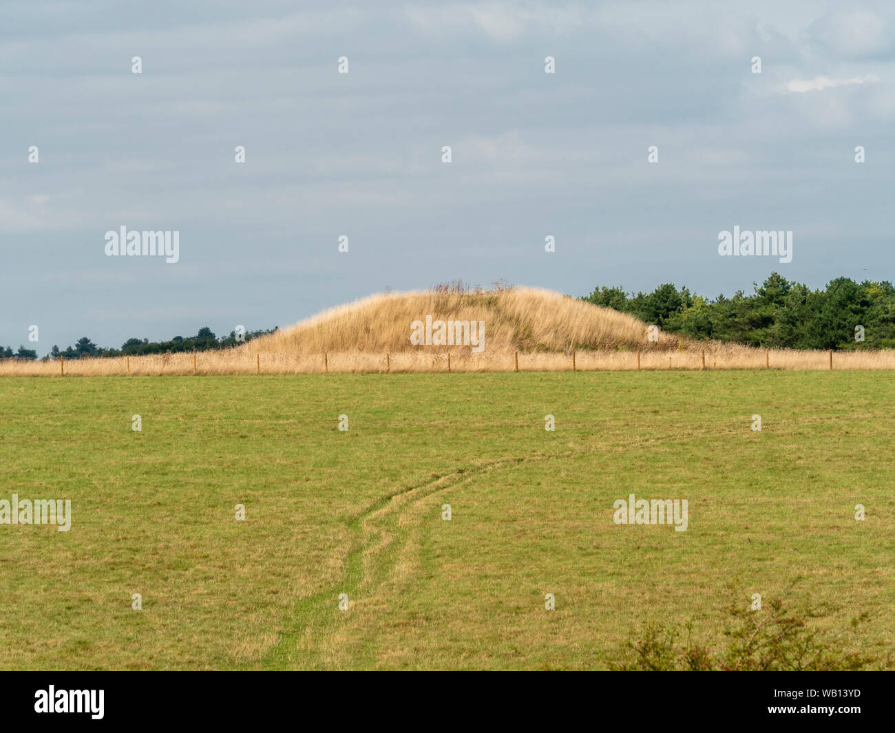 Damm (Karren). Eine der Cursus Schubkarren, der Jungsteinzeit und der Bronzezeit runde Barrow Friedhof meist südlich des westlichen Ende der Stonehenge Stockfoto