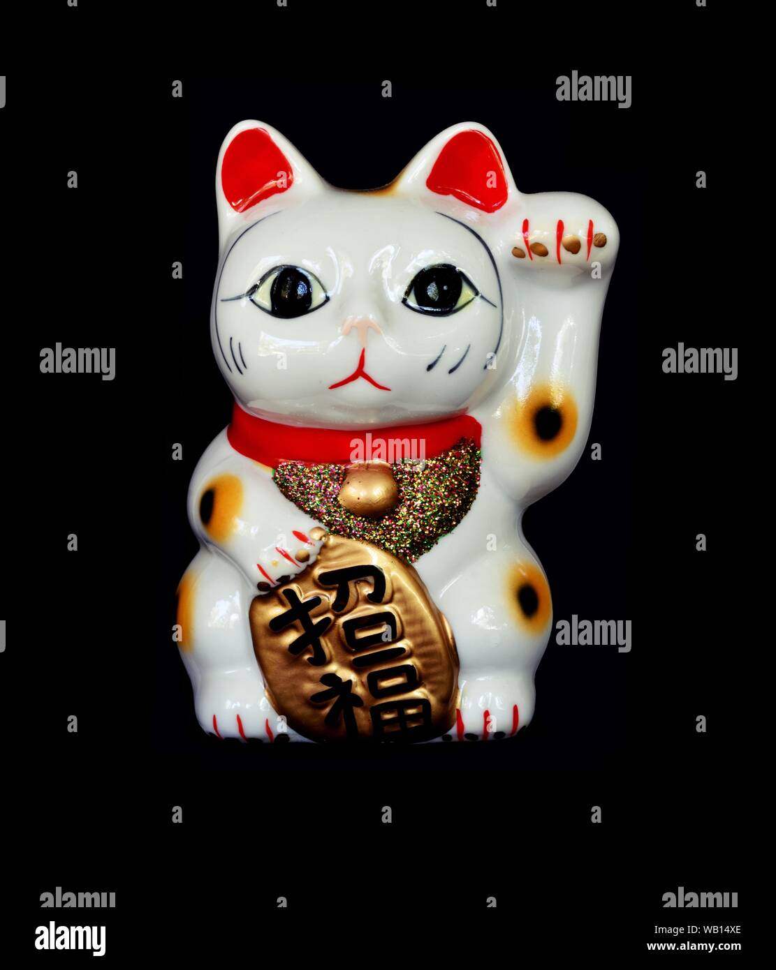Japan lucky cat oder Maneki Neko mit japanischen Zeichen bedeuten Glück und Reichtum auf Goldmedaille auf schwarzem Hintergrund Stockfoto