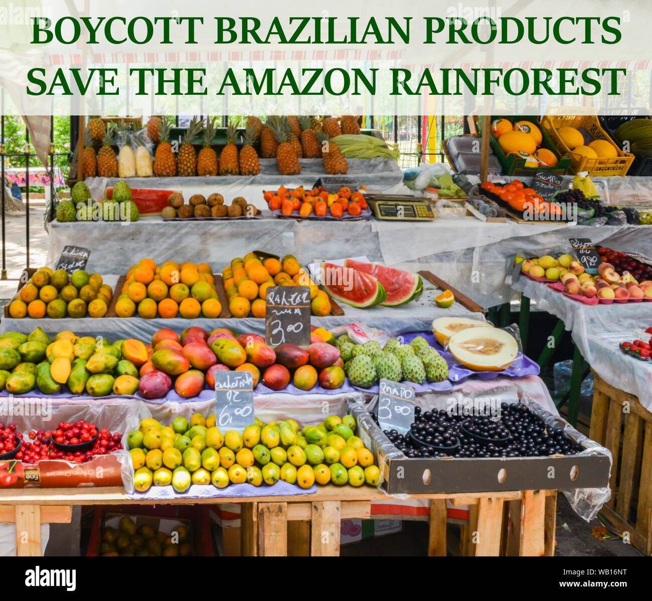 Boykott Brasilianische Produkte Nachricht Regenwald des Amazonas vor der  Zerstörung mit tropischen Früchten im Hintergrund zu speichern  Stockfotografie - Alamy