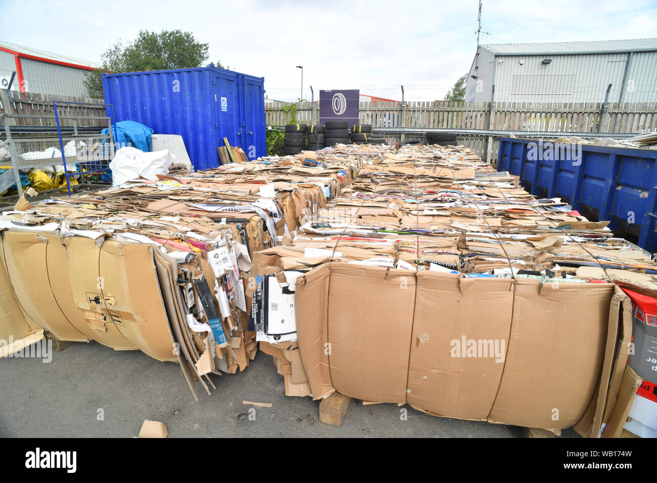 Wellpappe in Ballen bei Hausmüll recyling Zentrum Vereinigtes Königreich recycelt Stockfoto