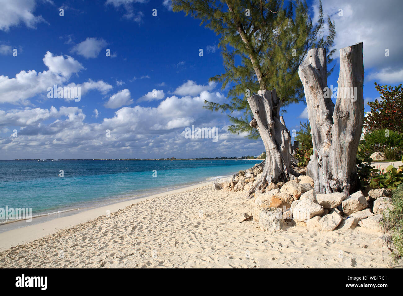 Seven Mile Beach, Grand Cayman, Cayman-Inseln Stockfoto