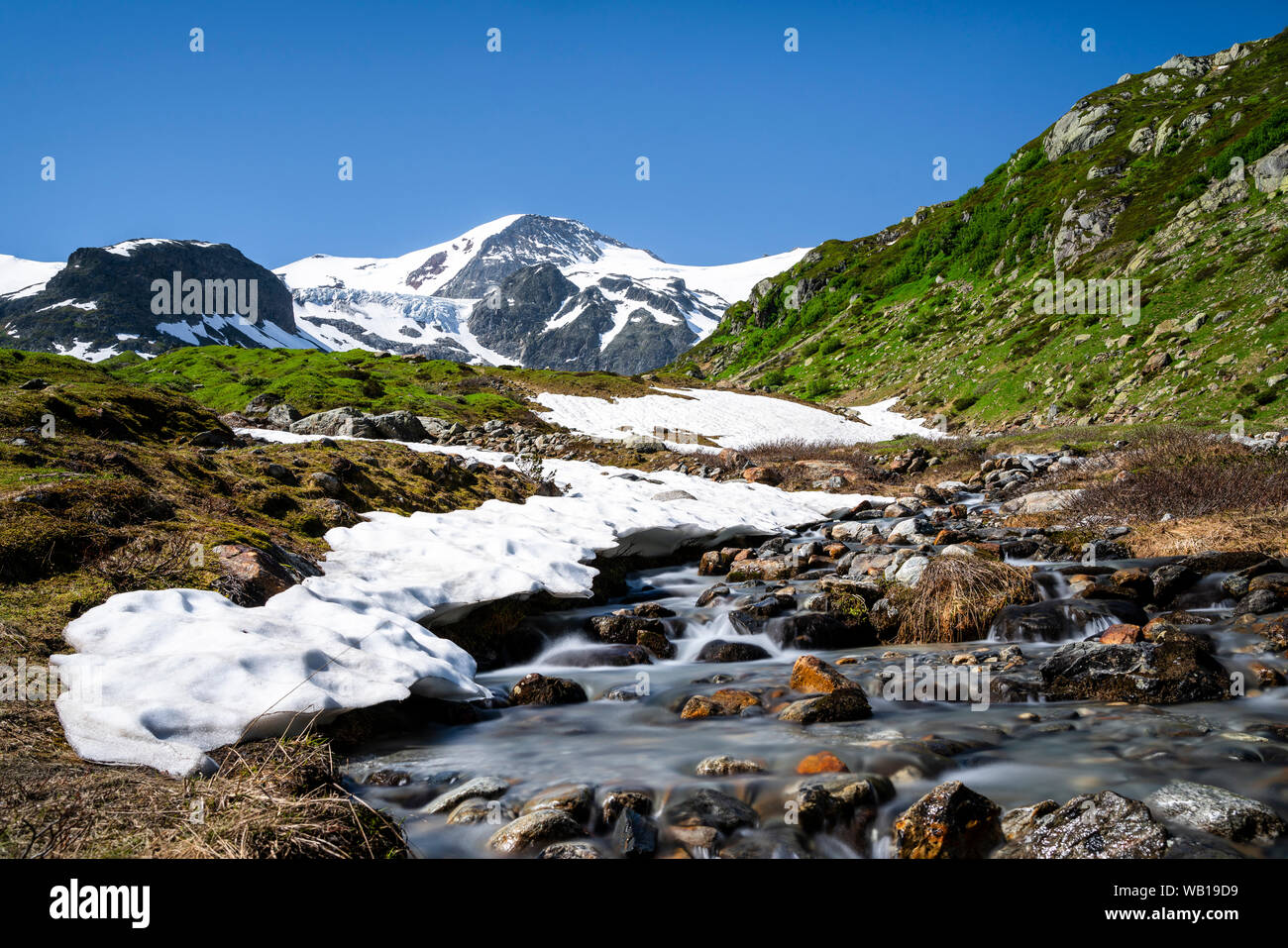 Schweiz, Kanton Bern, Stein Gletscher, Steinwasser Stockfoto