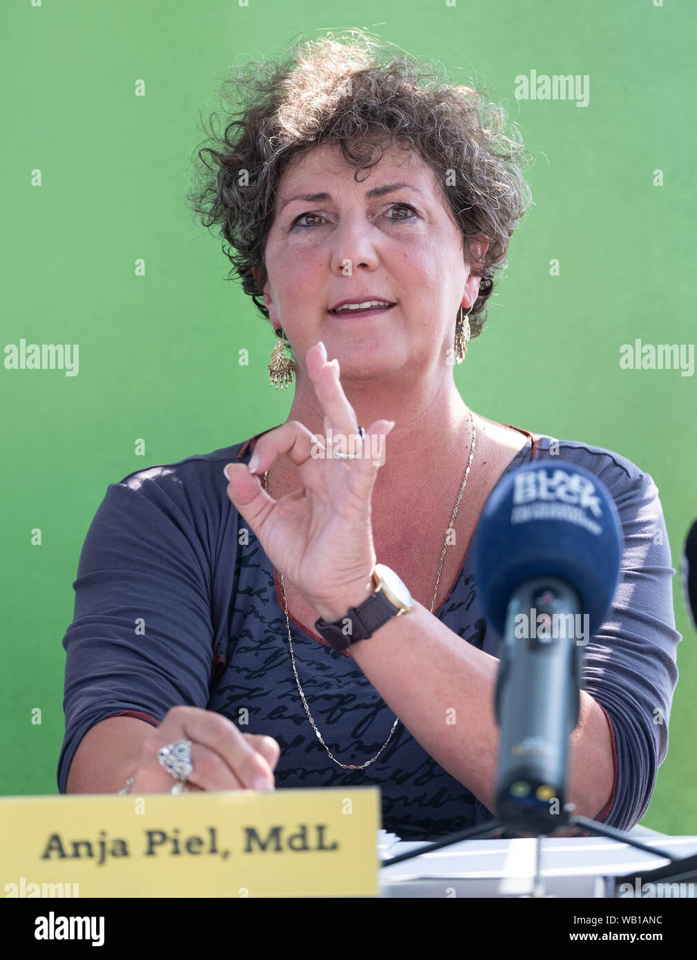 Hannover, Deutschland. 23 Aug, 2019. Anja Piel, Chef der Bundestagsfraktion Bündnis 90/Die Grünen im Landtag von Niedersachsen, spricht während einer Pk auf einem Solarboot auf dem Maschsee. Mit einer 10-Punkt sofort Klimaschutzprogramm, die Grünen Niedersachsen wollen die notwendigen Weichen für die Erreichung der Klimaziele Paris für Niedersachsen zu setzen. Credit: Peter Steffen/dpa/Alamy leben Nachrichten Stockfoto