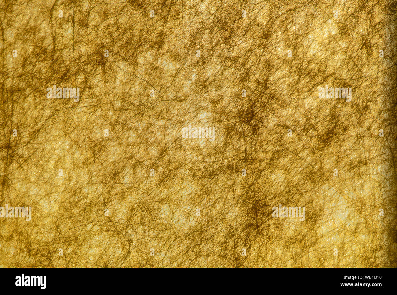 Die Textur von Gold an der Wand. Hintergrund. Stockfoto