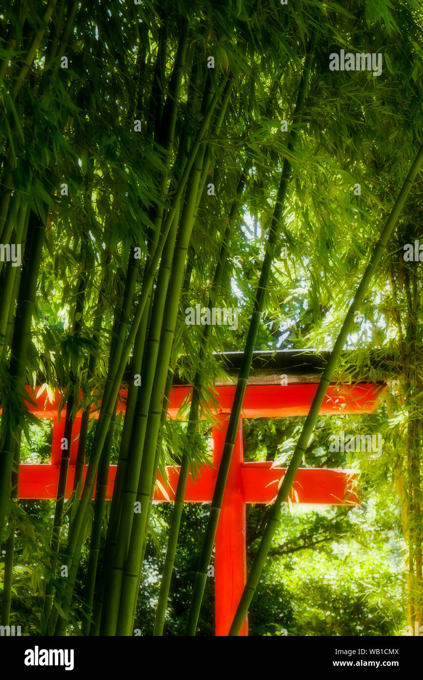 Rote Torii und Bambus Wald, La Bambouseraie - Bambus Park, Prafrance, Anduze, Gard, Frankreich Stockfoto