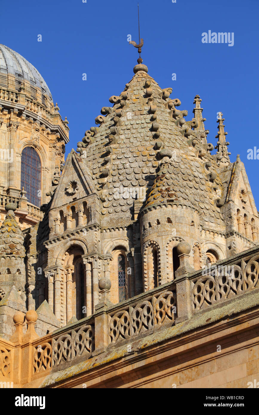 Salamanca, Spanien. Die historische Universitätsstadt und komplizierte Architektur der Kathedrale. UNESCO-Weltkulturerbe. Stockfoto